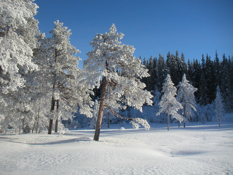 pict0023.jpg