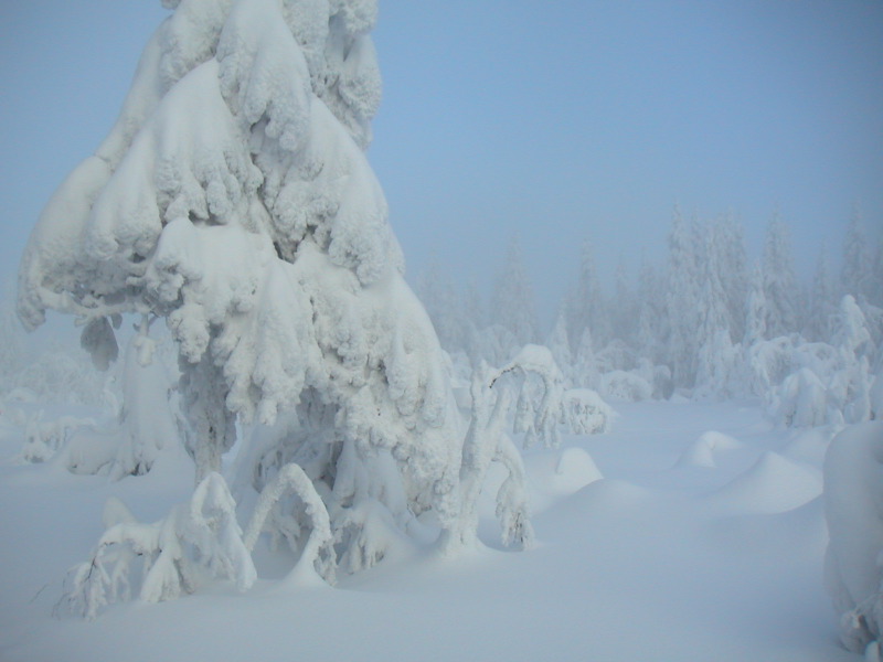 pict0114.jpg