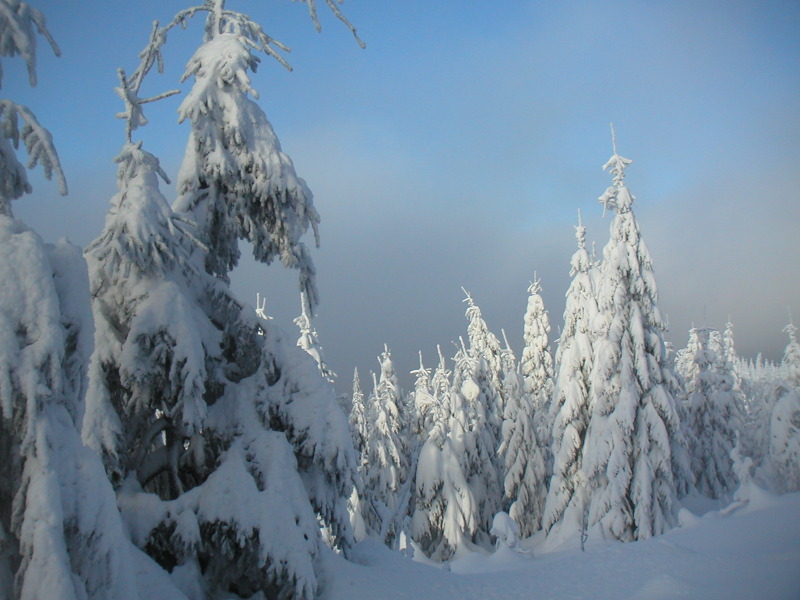 pict0115.jpg