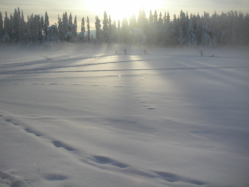 pict0173.jpg