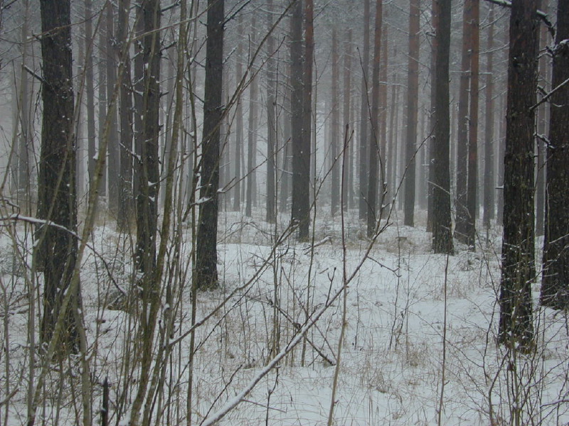 dscn6758.jpg