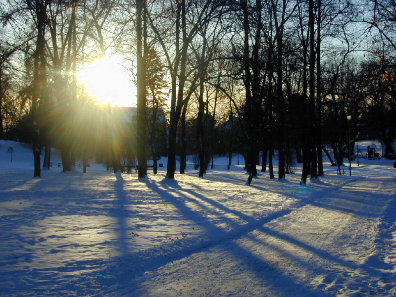 dscn6787.jpg