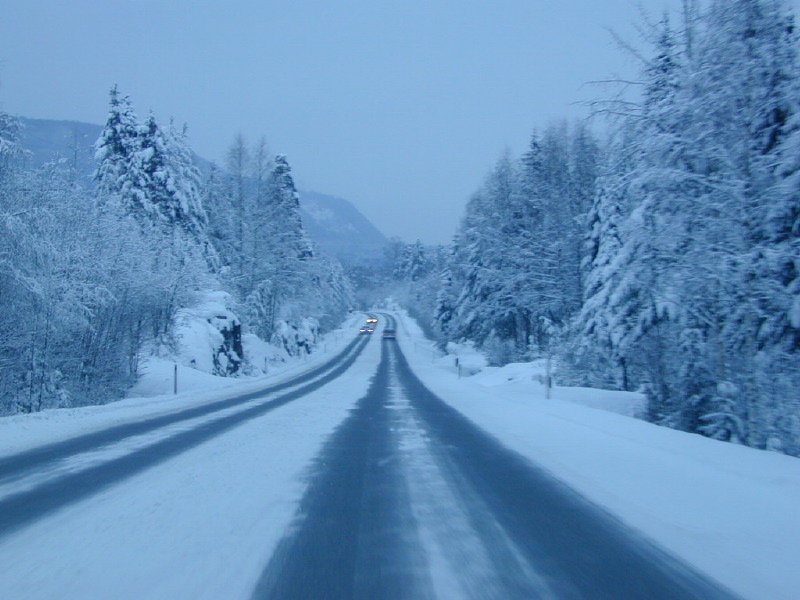 dscn6904.jpg
