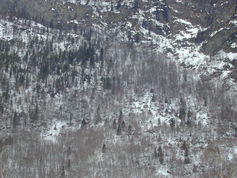 dscn6990.jpg