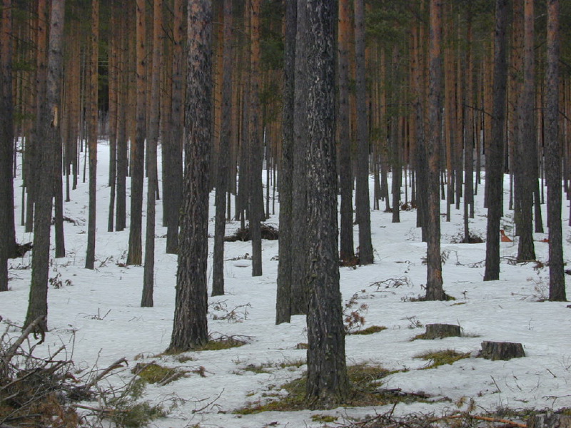 dscn6992.jpg