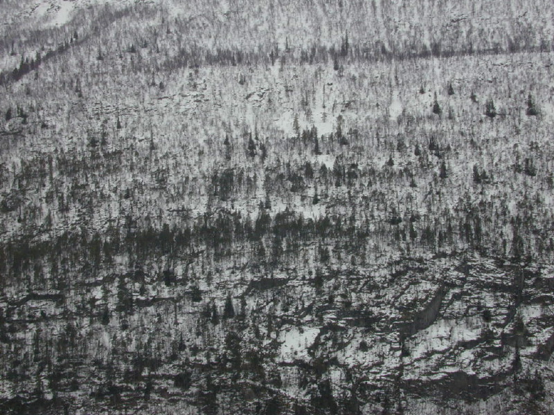 dscn6996.jpg