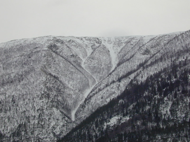 dscn7001.jpg