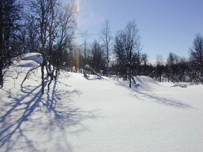 dscn7288.jpg