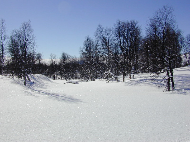 dscn7289.jpg