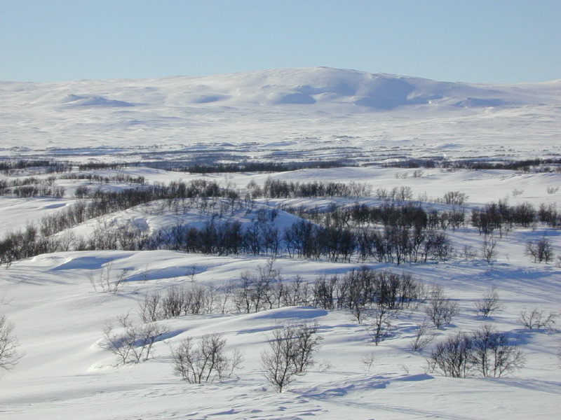 dscn7353.jpg