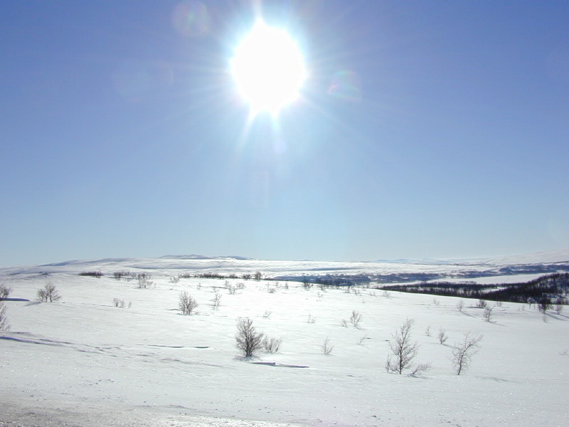 dscn7356.jpg