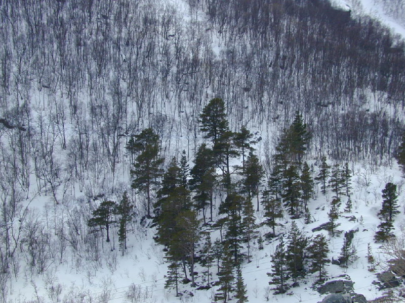 dscn7606.jpg