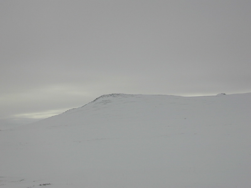 dscn7651.jpg