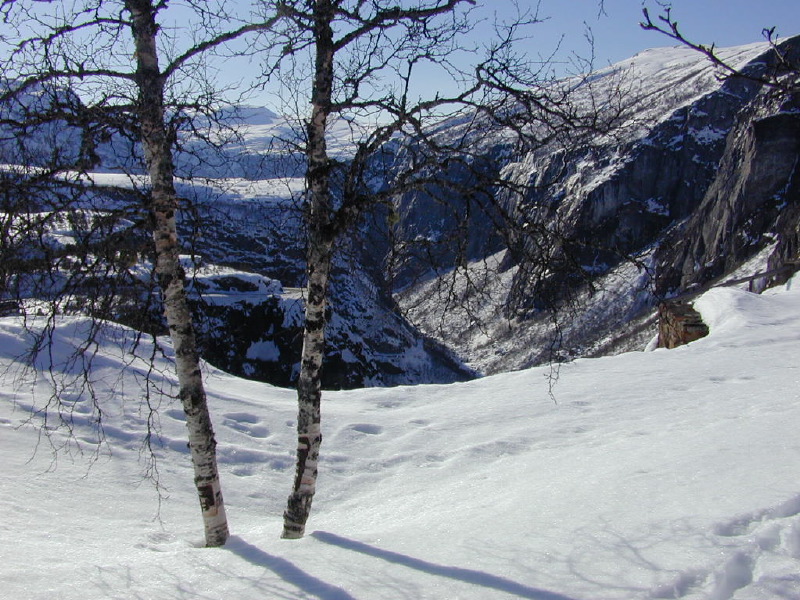 dscn7925.jpg