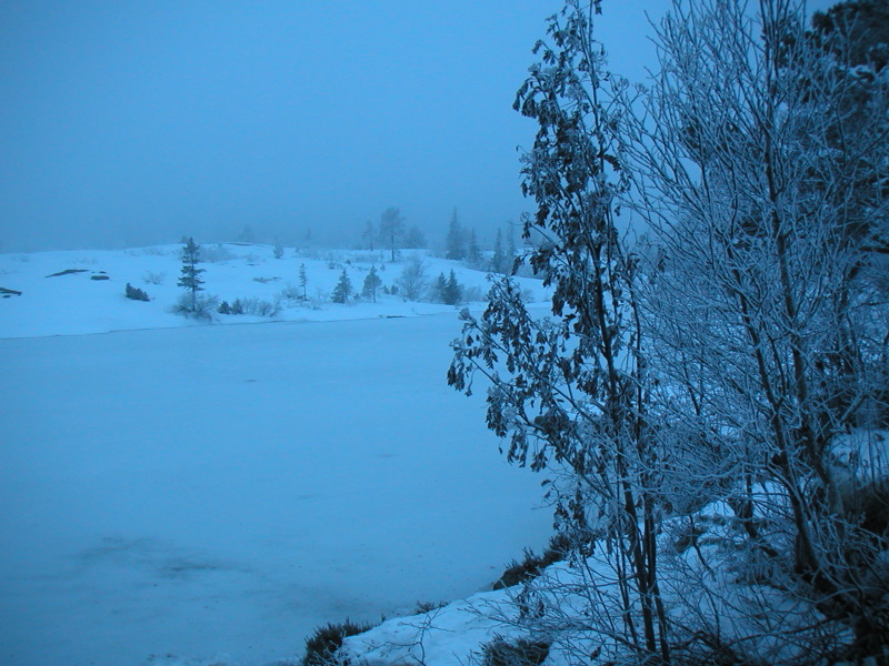 pict0010.jpg