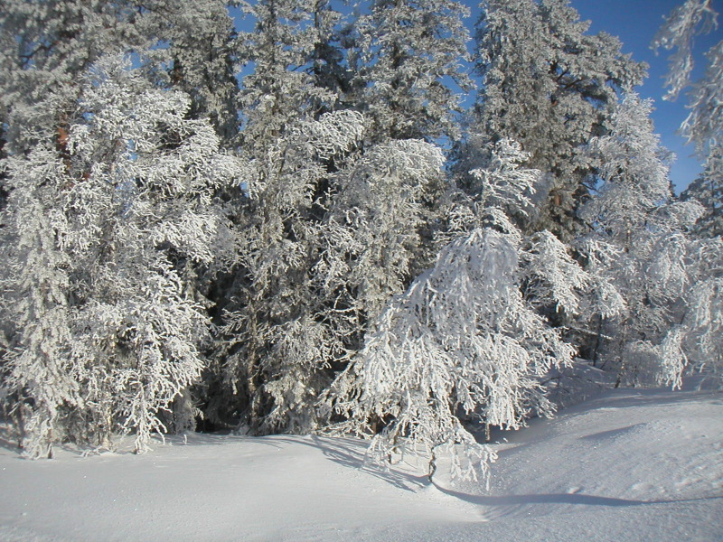 pict0024.jpg
