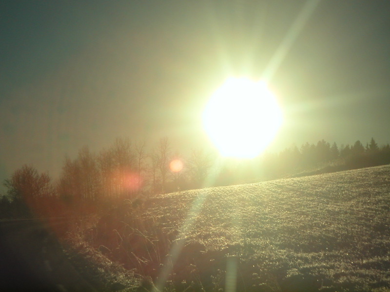 pict0033.jpg