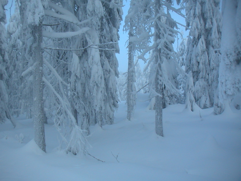 pict0110.jpg